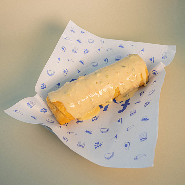 Chicken Chimichanga